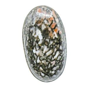 Petrified Dinosaur Bone Ring Size 7.5 in Sterling Silver